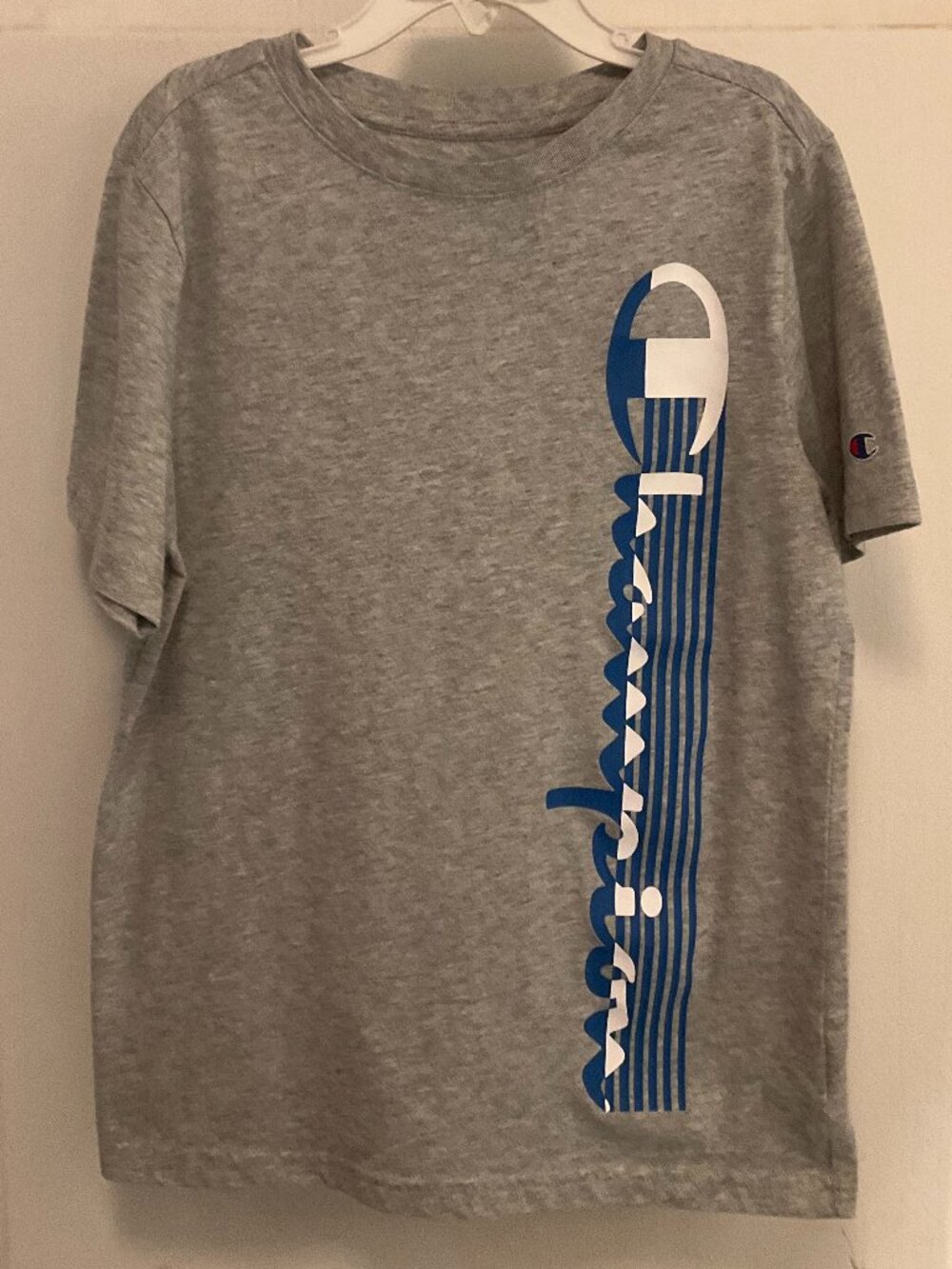 Boy's Champion Gray T-Shirt